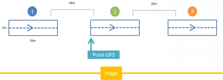 AMP Transect