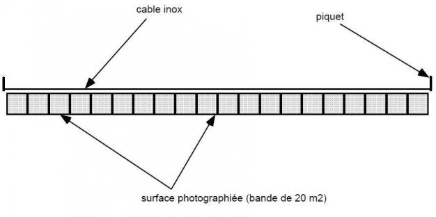 Quadrat2