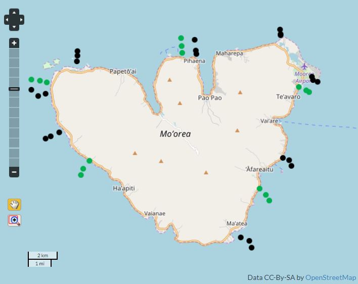 AMP Moorea Article IYOR2018